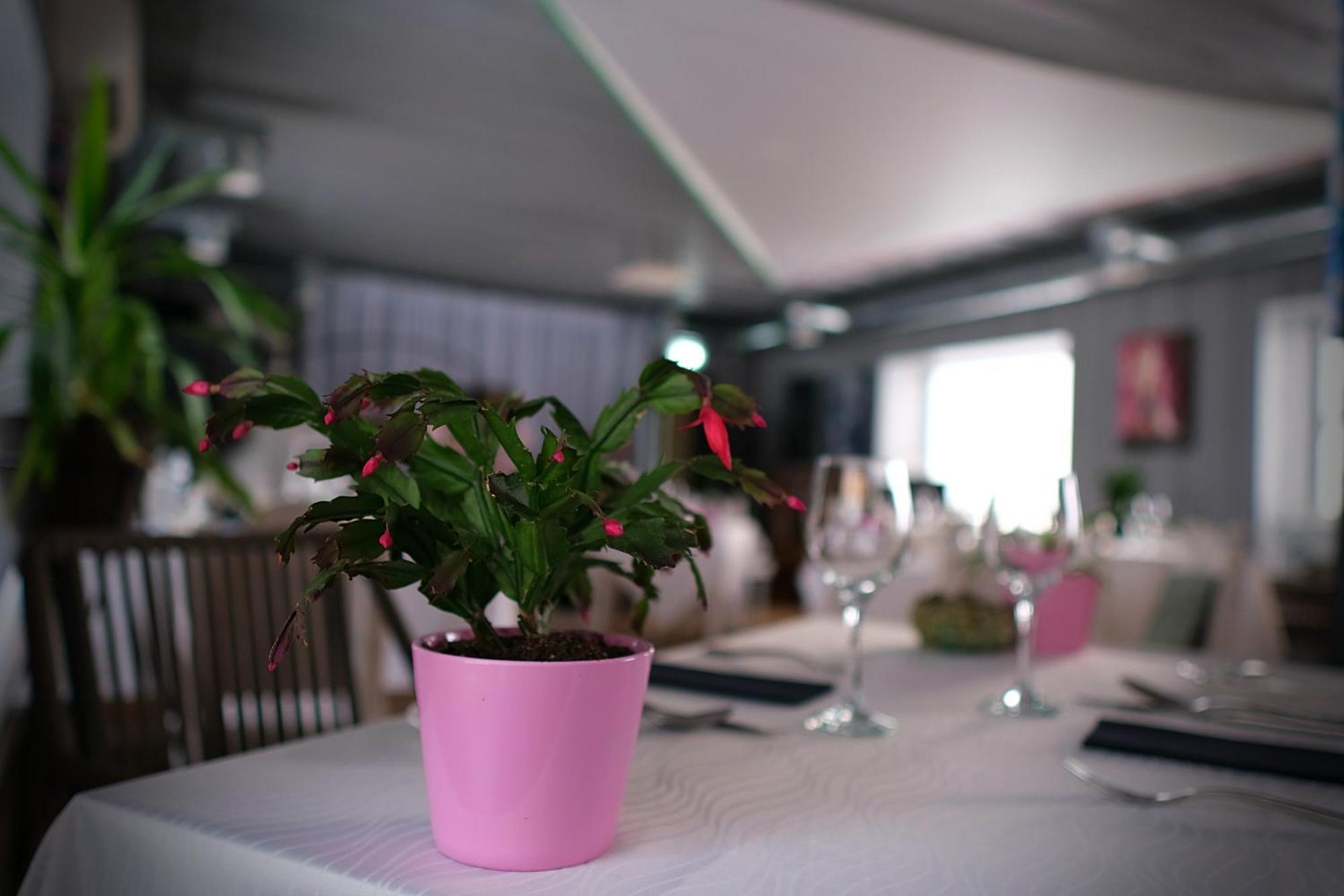 Vergi Sadam & Restoran Wirkes' ภายนอก รูปภาพ